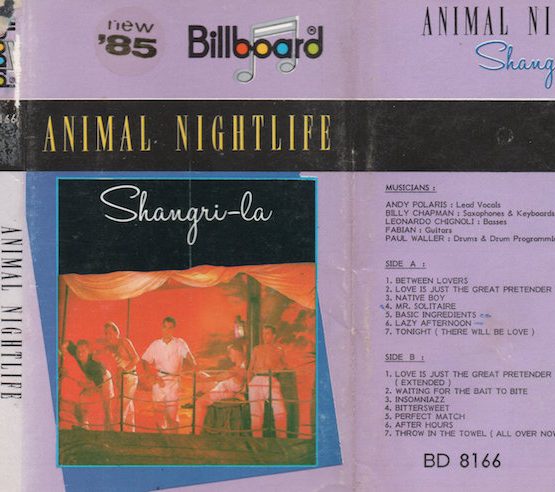 ANIMAL NIGHTLIFE - SHANGRI-LA